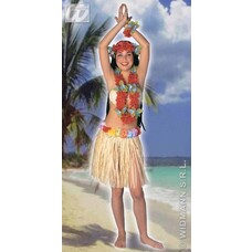 Hawaii mini-rock (45 cm)