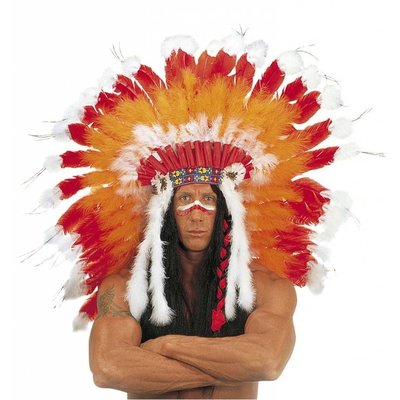 Indianer Federschmuck (luxu)