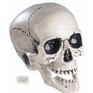 Halloween Accessoires: Schädel mit beweglichen Kiefern 25cm