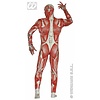 Karnevalskostüm Anatomischer Mann