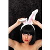 Karnevalszubehör: Kaninchen-ohren