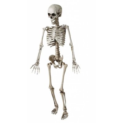Horroraccessoires: Skelett Kind 120 cm