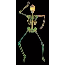 Halloween Accessoires: 3d Skelett Dekoration mit blinkenden Auge