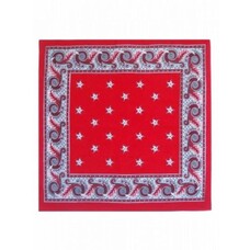 Faschings-zubehör: Taschentucher