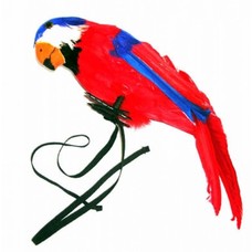 Faschingszubehör: Papagei