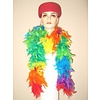 Karnevals-und Festzubehör: Boa's multiFarbe 180cm/75gr. Feuerfest