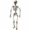 Horroraccessoires: Skelett Erwachsene 160 cm