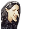 Karneval-accessoires: special effect Hexe-nase