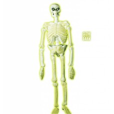 Halloween Accessoires: 3d Kunststoff Labor Skelett 150cm