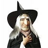 Hexe-maske mit Hut und Haar
