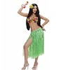 Hawaii-rock in verschiedene Farben