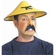 Chinesischer Hut
