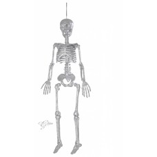 Halloween Accessoires: Skelett silberne glitter 92cm