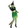 Karnevalskostüm Funky Witch