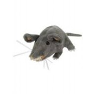 Halloween-sachen: : Plüsche Ratte