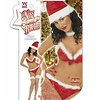 Weihnachtsgadgets: Weihnachts Bikini