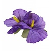 Faschings Kleidergeschäft: Hawaii Haarnadel in violett