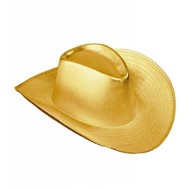 Faschings-accessoiren Cowboy Hüte in 2 Farben