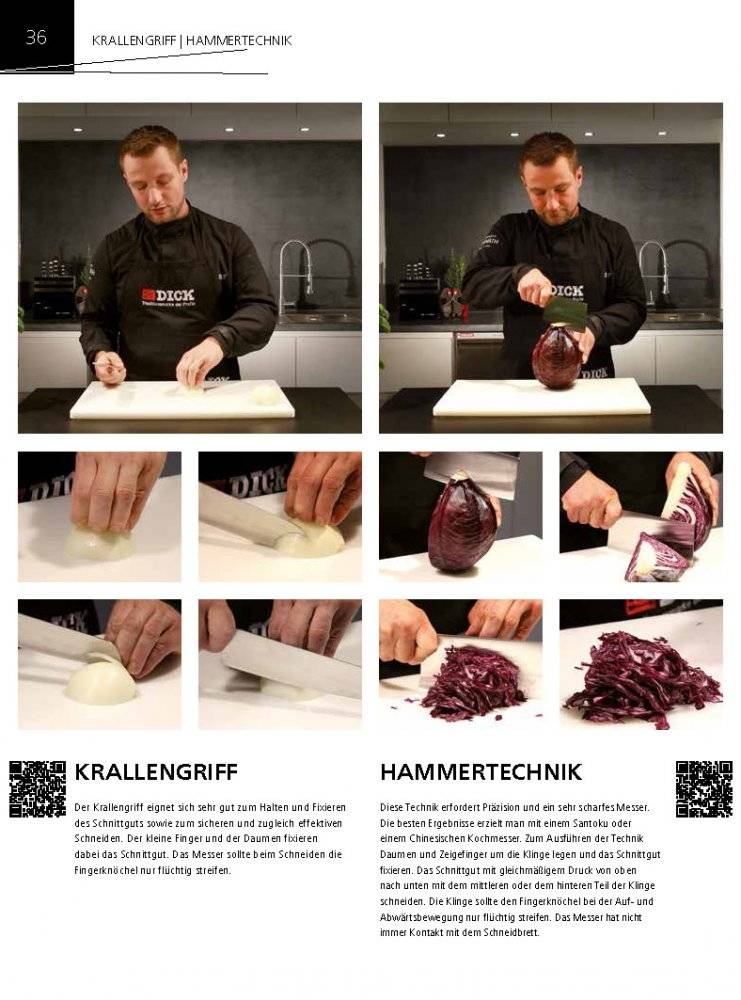 Friedr. Dick Schnittbuch (Deutsche Ausgabe)