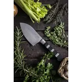 F.DICK 1905 KRÄUTERMESSER 12 CM