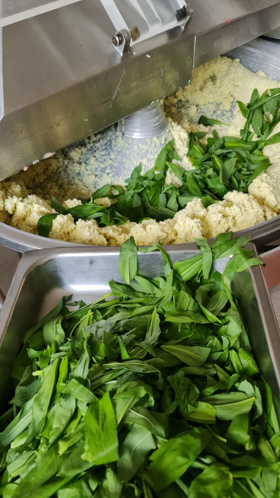 GRILLKÄSE - BÄRLAUCH ONLINE KAUFEN