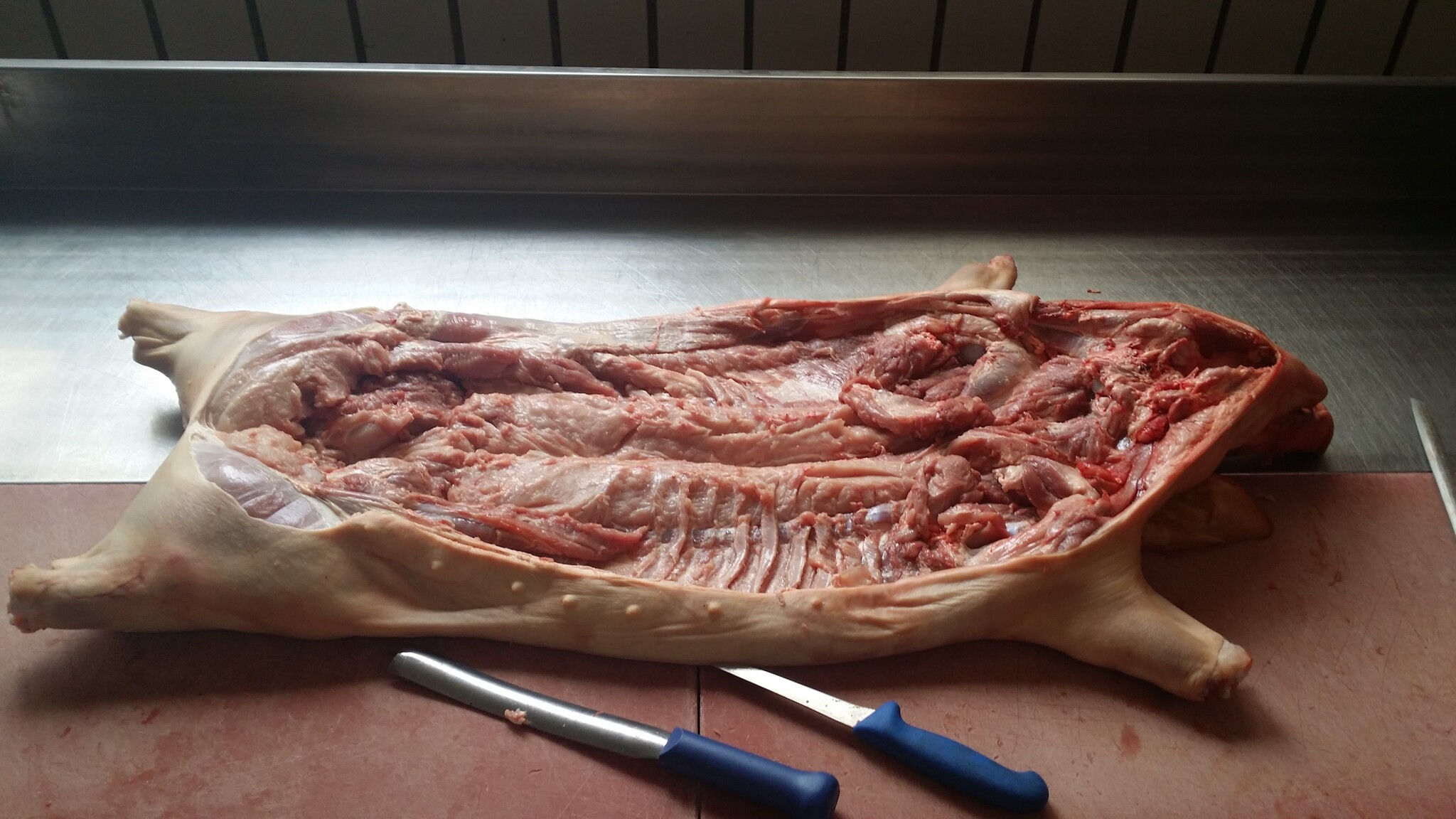SPANFERKEL HOHL  AUSGELÖST OHNE KNOCHEN