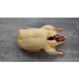 FRISCHE ENTE ONLINE KAUFEN - GRILLENTE - WEIHNACHTSENTE