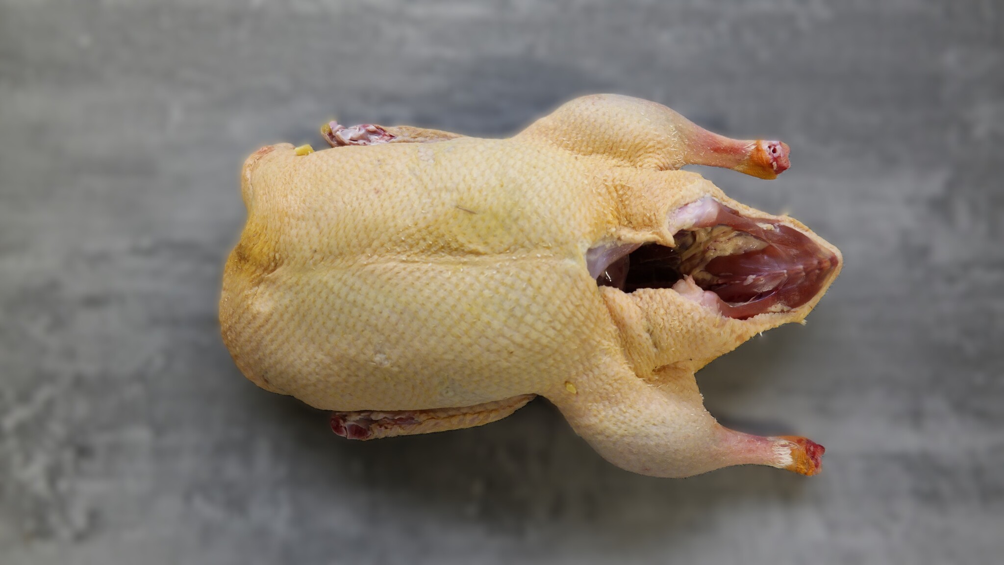 FRISCHE ENTE ONLINE KAUFEN - GRILLENTE - WEIHNACHTSENTE