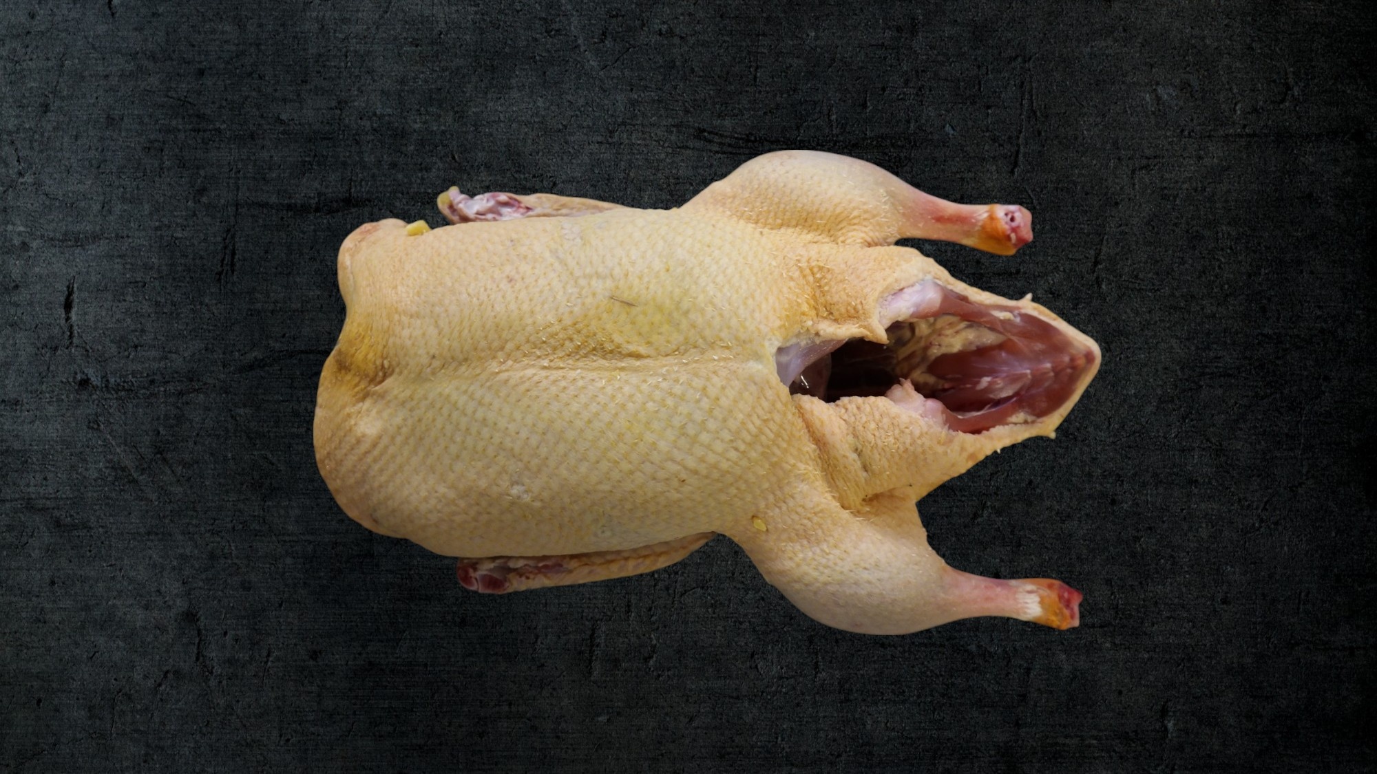 FRISCHE ENTE ONLINE KAUFEN - GRILLENTE - WEIHNACHTSENTE