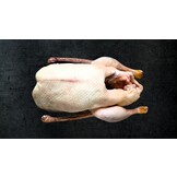 GANS / FREILANDGANS AUS DER RHÖN DIREKT VOM HOF