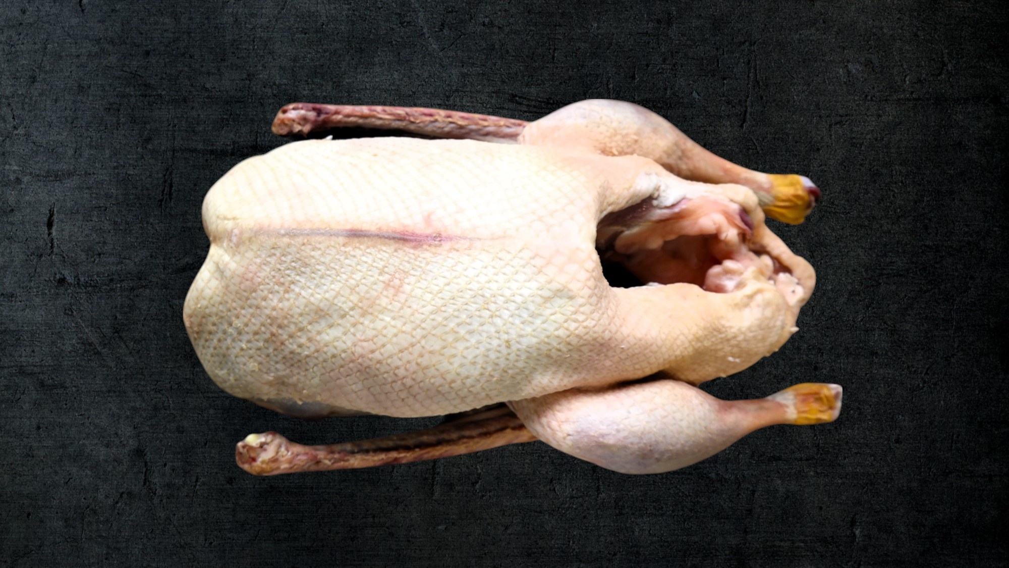 GANS / FREILANDGANS AUS DER RHÖN DIREKT VOM HOF