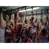 Hohe Rippe vom Rind online kaufen | Hochrippe Bone In