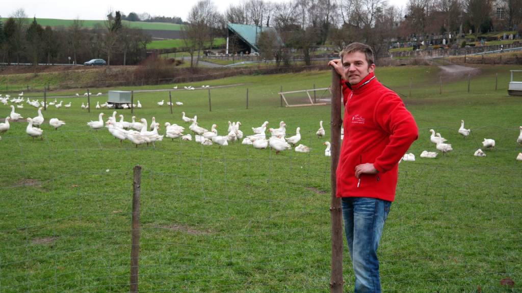 GANS / FREILANDGANS AUS DER RHÖN DIREKT VOM HOF