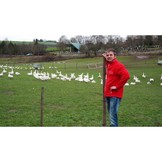 GANS / FREILANDGANS AUS DER RHÖN DIREKT VOM HOF