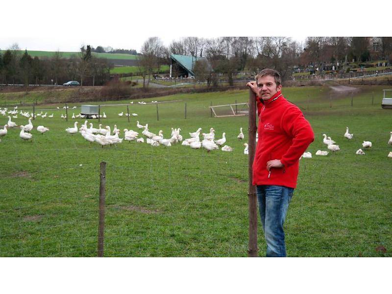 GANS / FREILANDGANS AUS DER RHÖN DIREKT VOM HOF