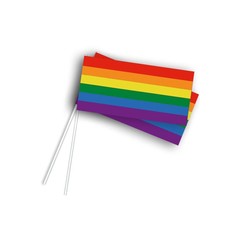 gips Vorm van het schip privaat Regenboog vlaggetjes kopen voor de Gay Pride? Bekijk ze hier