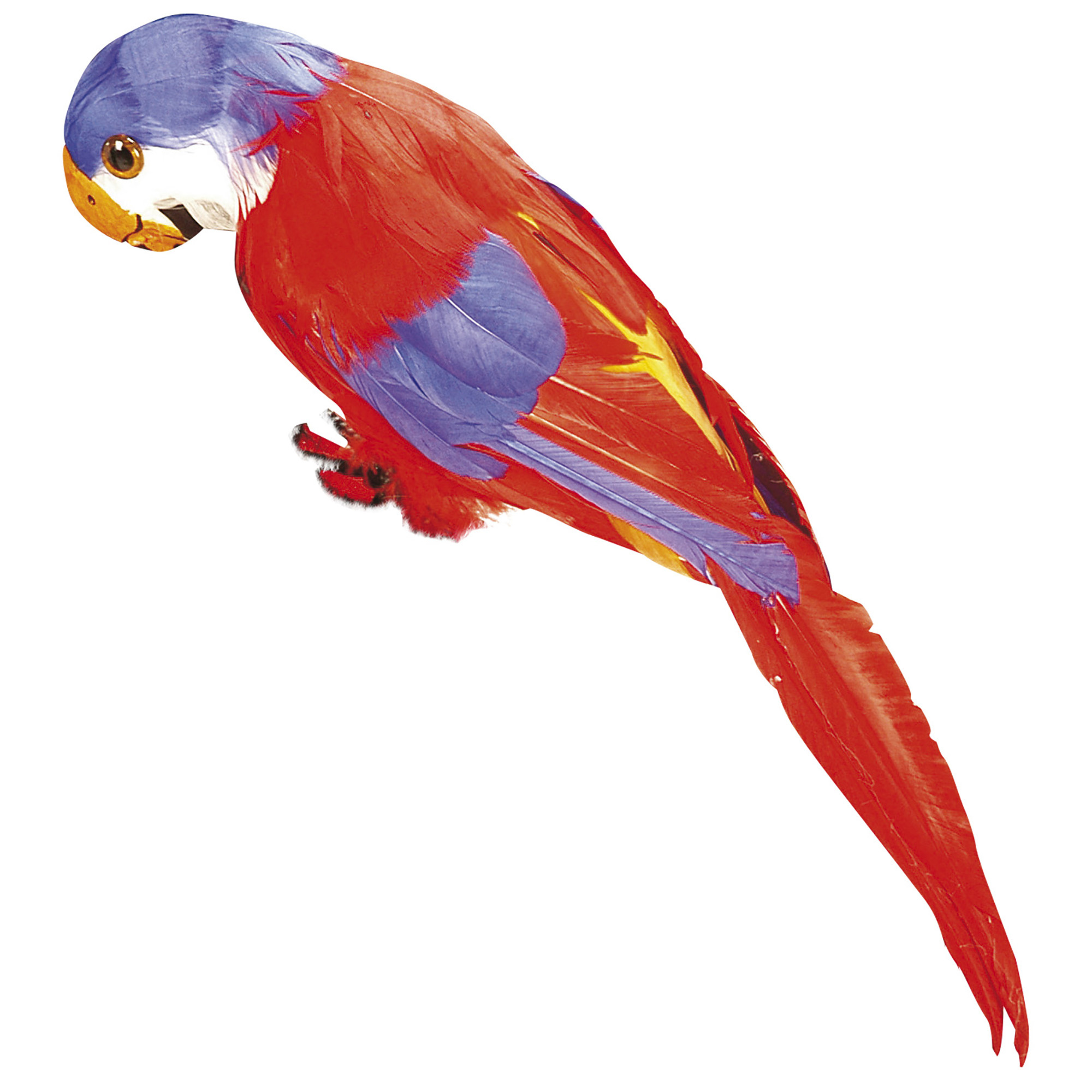 WIDMANN - Rode en blauwe Hawaïaanse papegaai - Accessoires > Overige
