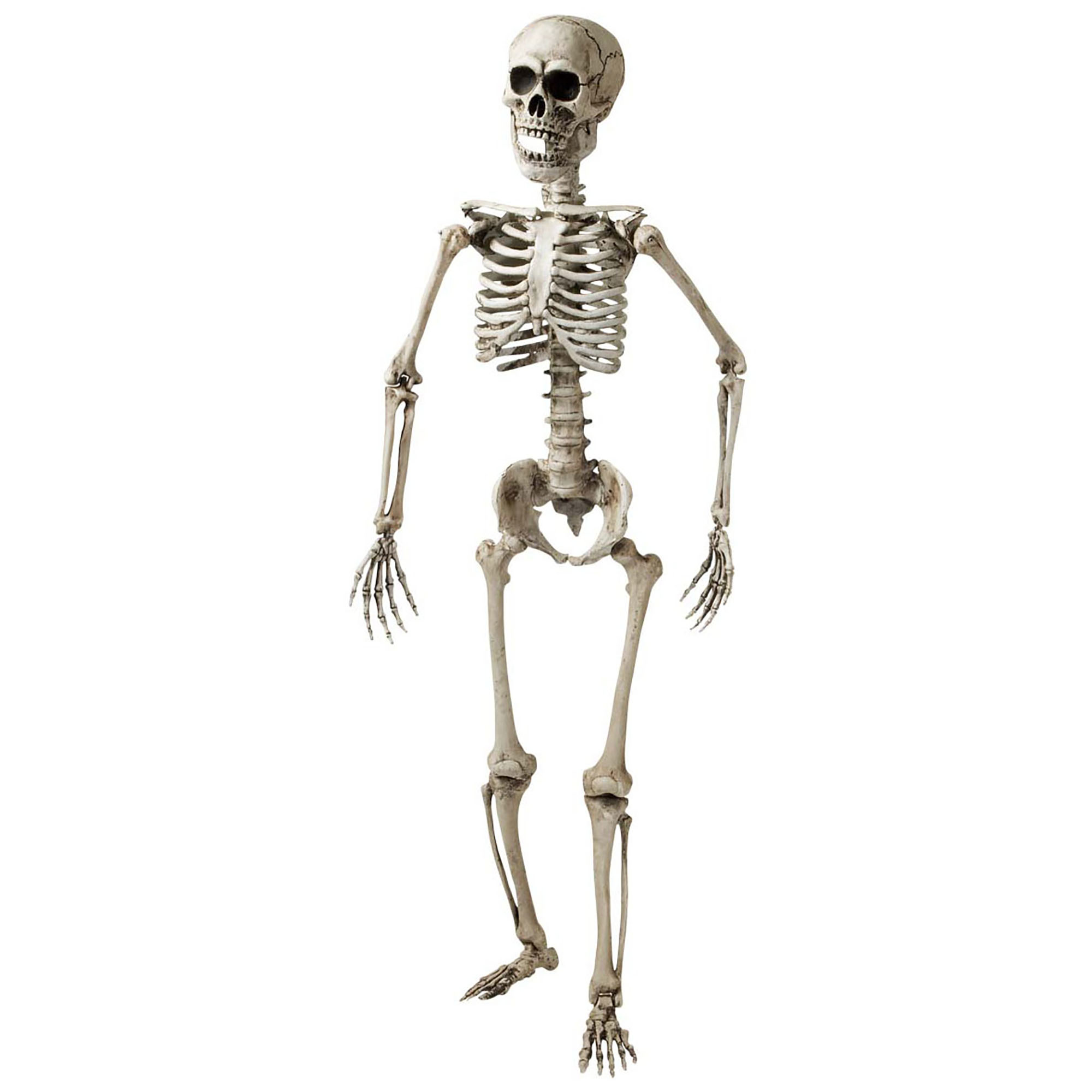 "Skelet decoratie 160 cm Halloween  - Feestdecoratievoorwerp - One size"