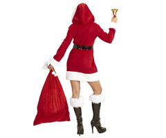 Hoeveelheid van Vol doorgaan Kerstvrouw kostuum kopen? Voor 23.59 uur besteld → morgen in huis!