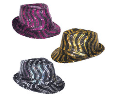 Terugroepen achterstalligheid Spijsverteringsorgaan Blues brothers hoed kopen? Mooi zwarte hoeden voor een feest -  e-Carnavalskleding