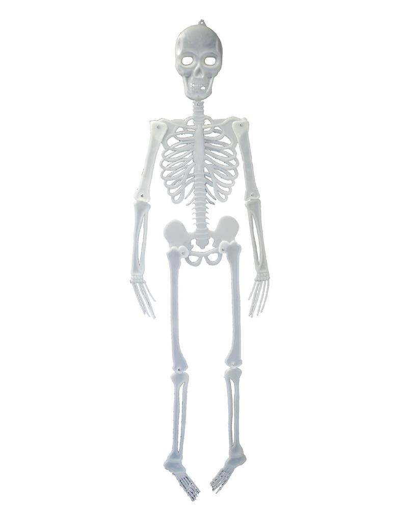 Skelet 150 cm - glow in the dark skelet - Halloween decoratiion Decskeleton