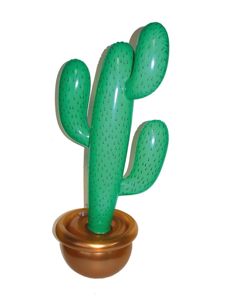 Mooie opblaasbare cactus Viva Mexico 90cm