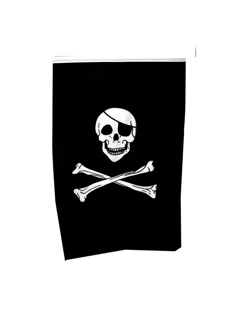 Ruige vlag piraat met doodskop en botten
