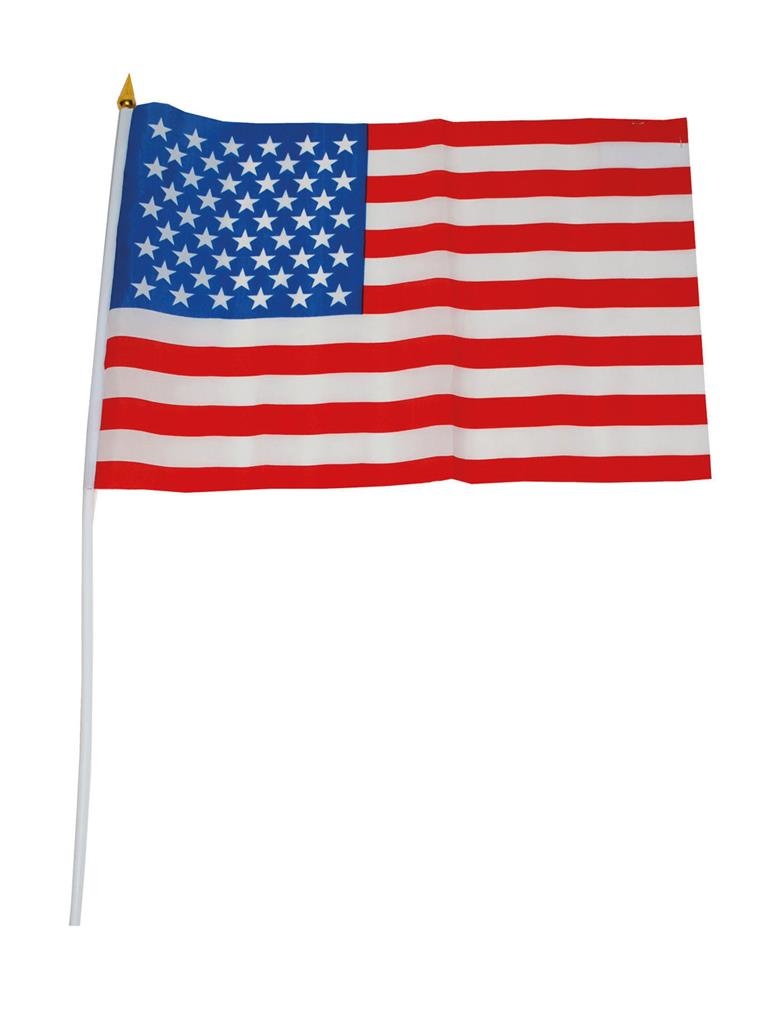 Vlag 30x45cm Op Stok USA