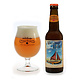 Vechtdal Brouwerij Vechtdal Brouwerij, IPA 6 flesjes een smakelijke ode aan de Vechtzomp (6 flesjes)