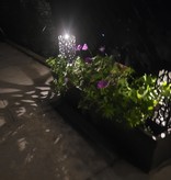 Aigostar Spot de jardin Lampe à énergie solaire LED 3000K (6 pièces)