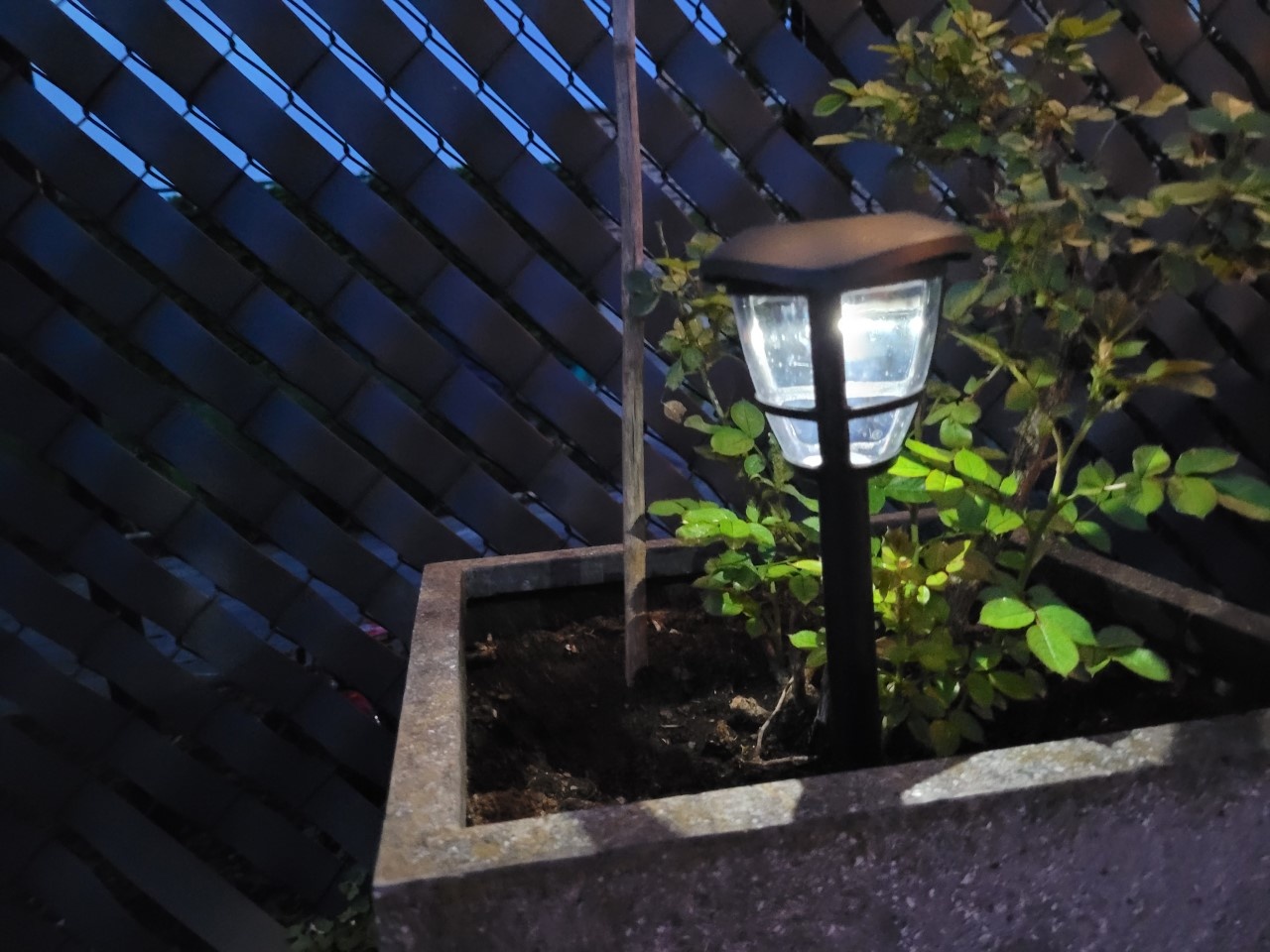Aigostar Spot de jardin led lampe à énergie solaire 6500K (Lumière du jour)