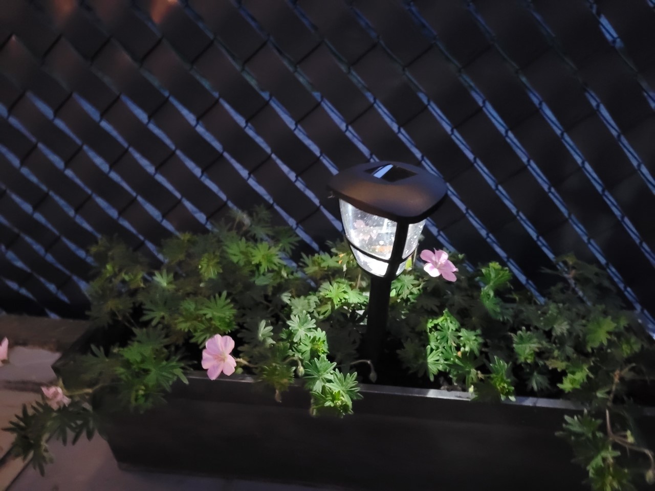 Aigostar Garden spotlight led solar energy lamp 6500K (Daylight)
