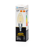 Aigostar Wifi WB Smart Light Bulb C35 E14-E27