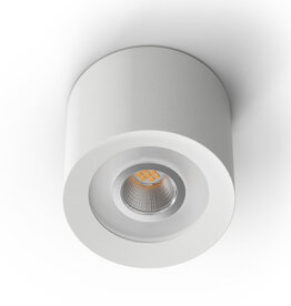 Loxone LED surface-mounted spotlight WW White